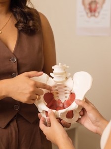 Imagem relacionada a Fisioterapia Pélvica